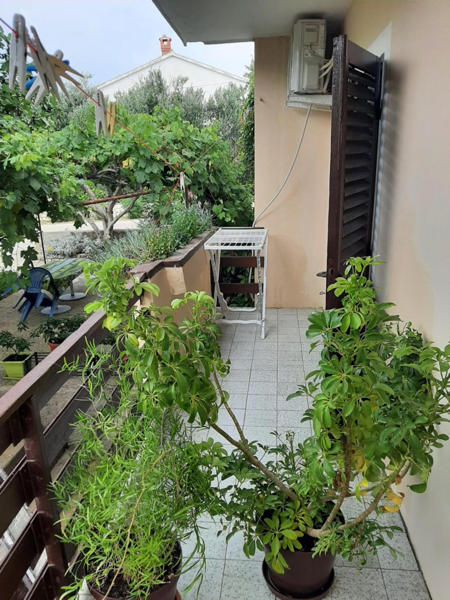 Apartmani Marija Povljana Cameră foto
