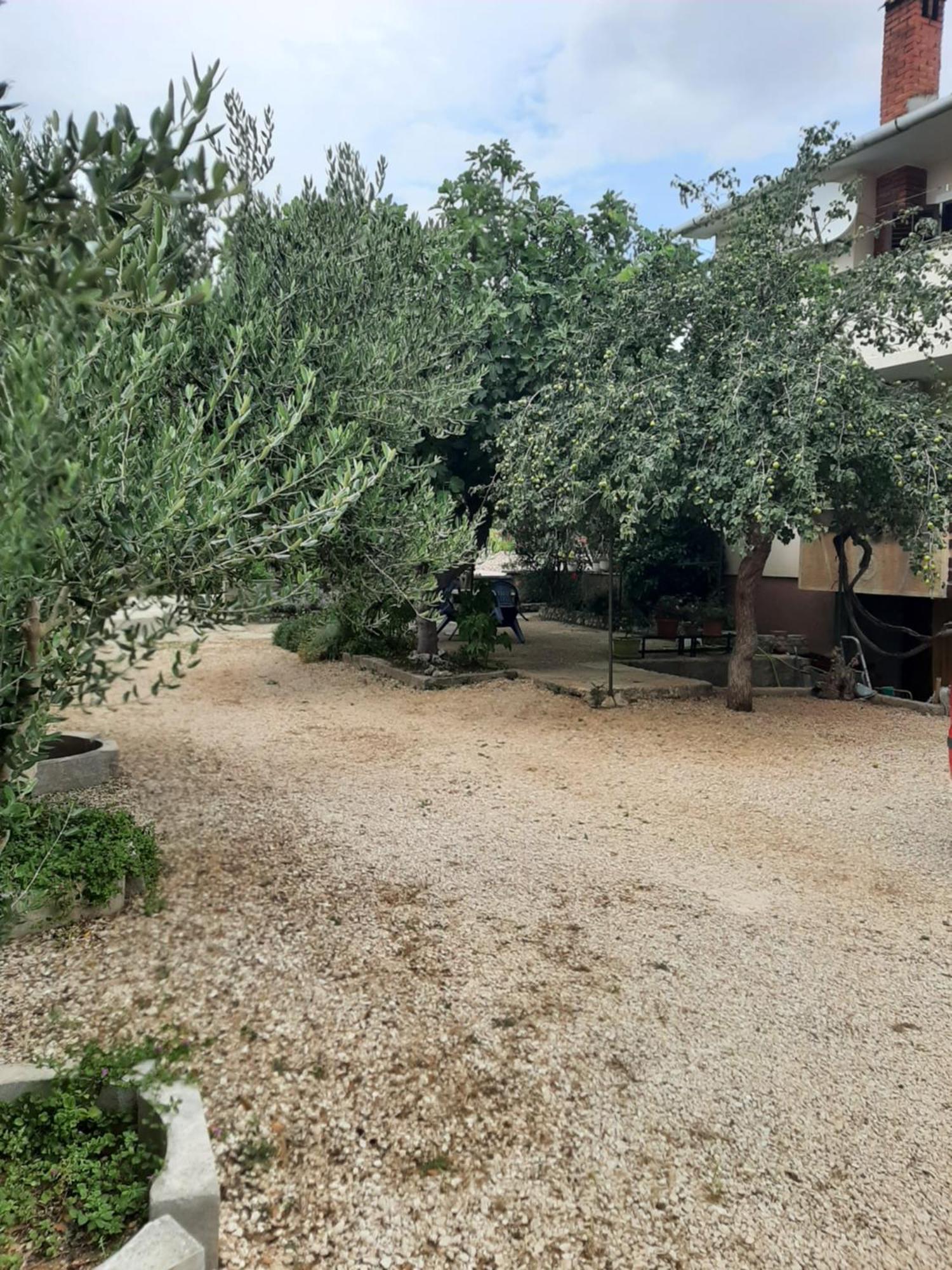 Apartmani Marija Povljana Cameră foto