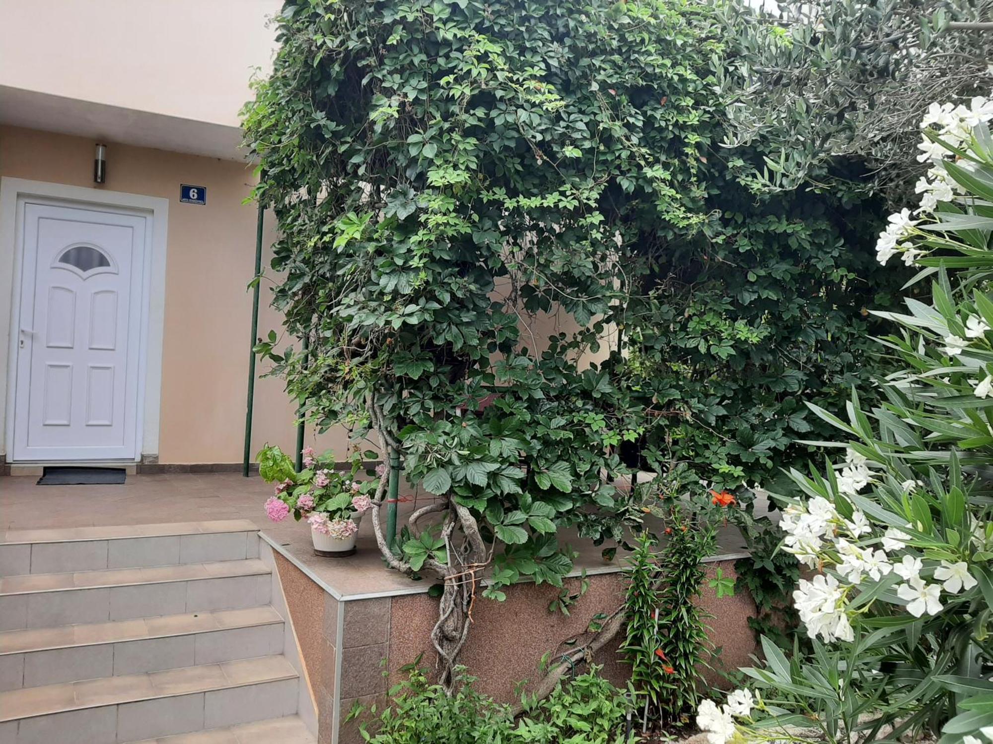 Apartmani Marija Povljana Cameră foto