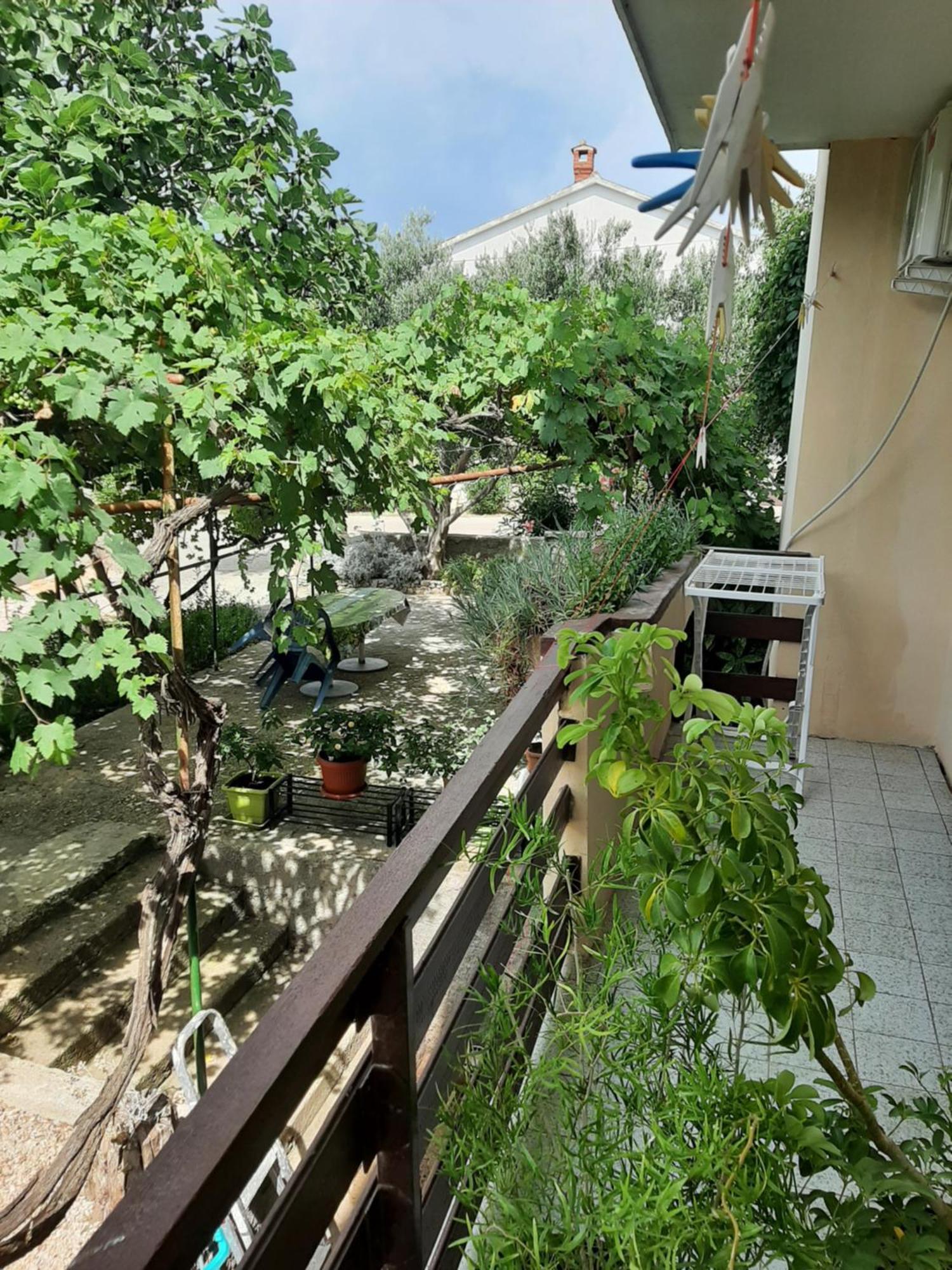 Apartmani Marija Povljana Cameră foto
