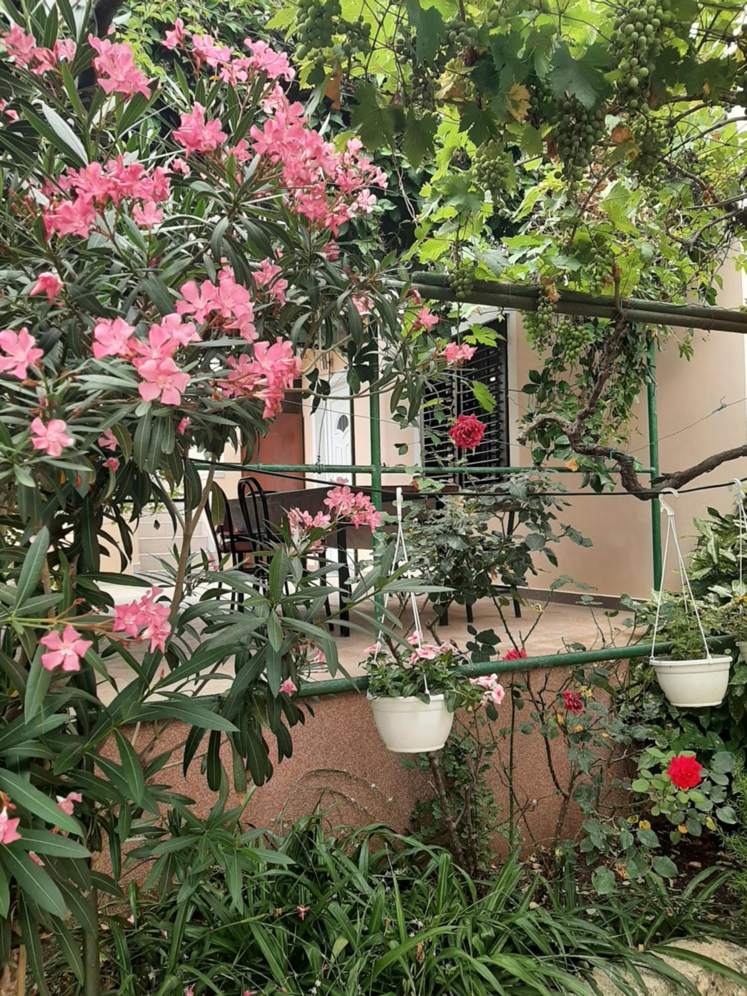 Apartmani Marija Povljana Cameră foto