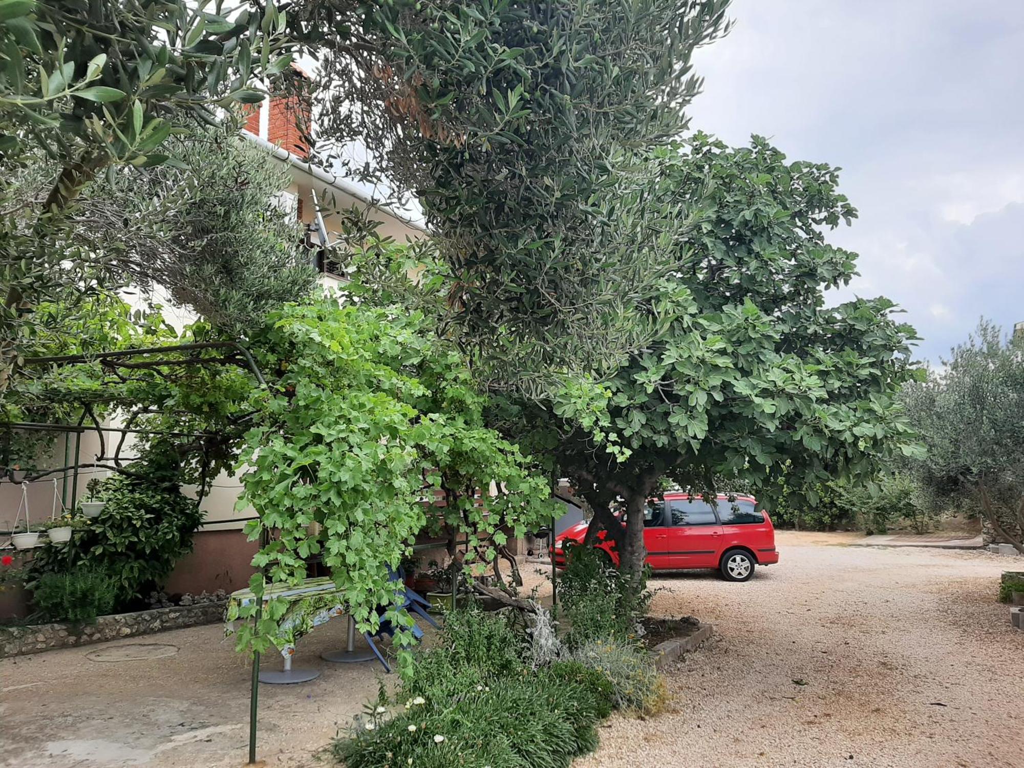 Apartmani Marija Povljana Cameră foto