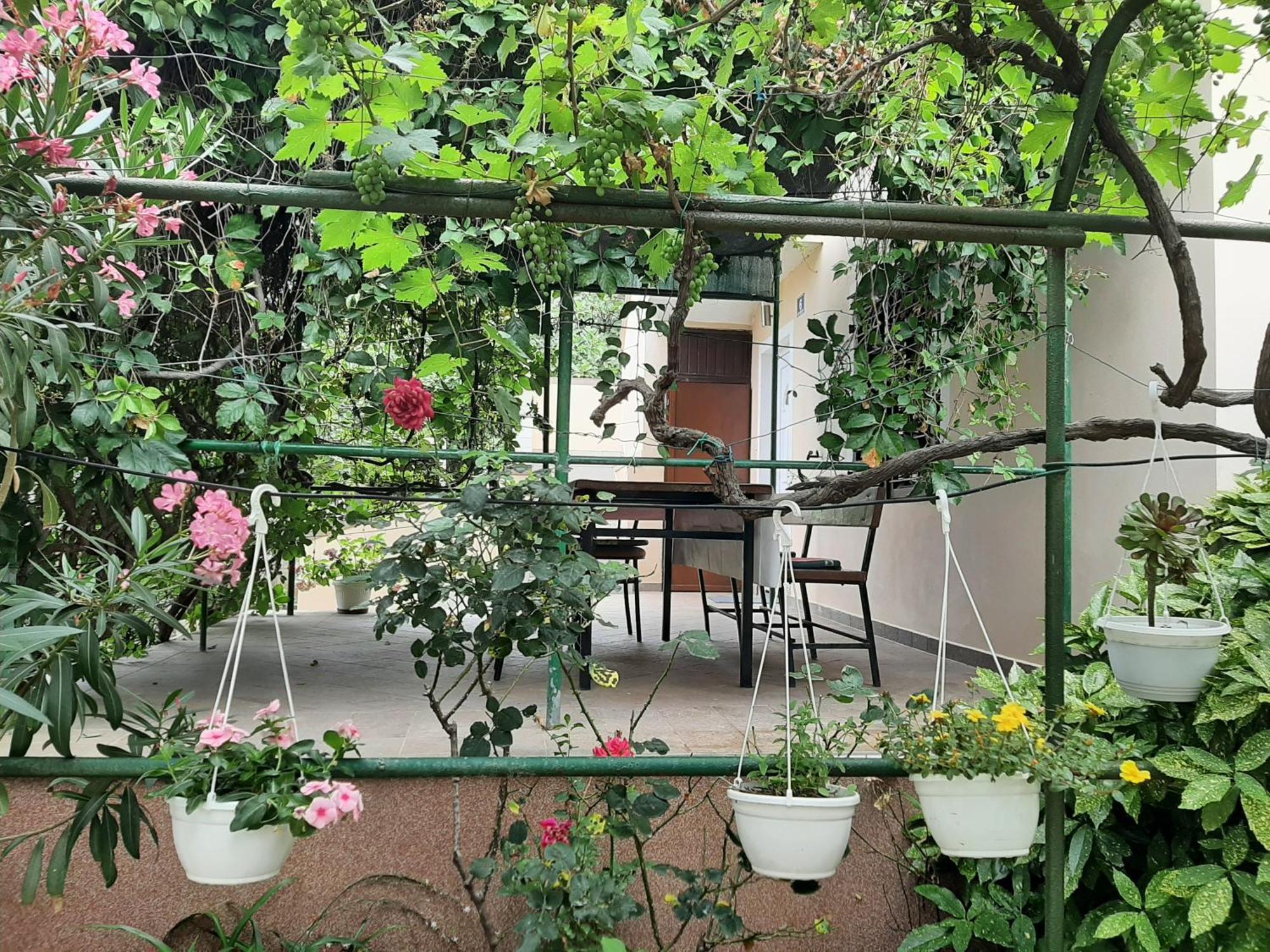 Apartmani Marija Povljana Cameră foto