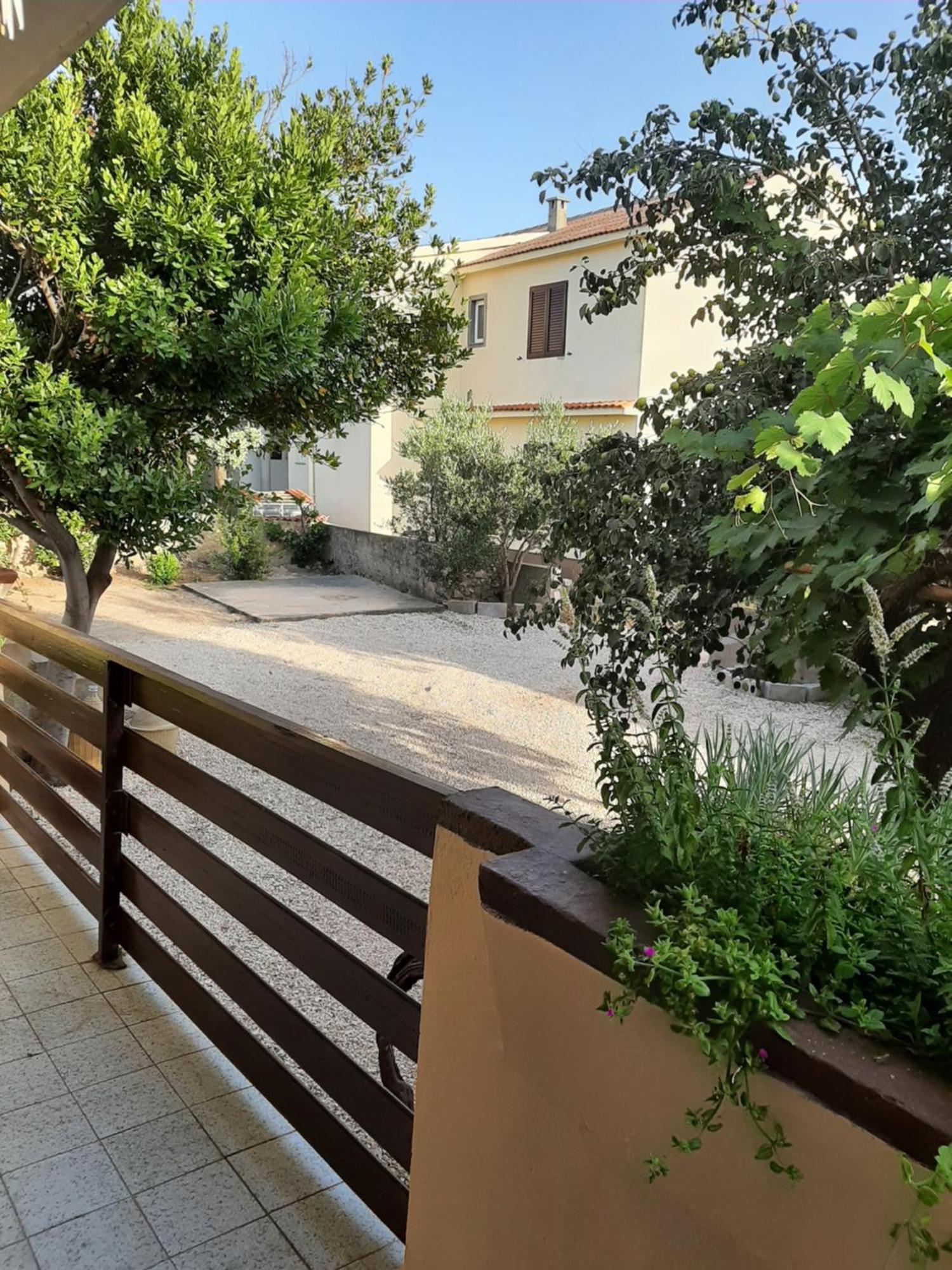 Apartmani Marija Povljana Cameră foto